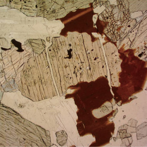 BestScope BS-5064RF excellent <span class=keywords><strong>microscope</strong></span> polarisant trinoculaire pour les laboratoires d'enseignement universitaire - Product Image 4