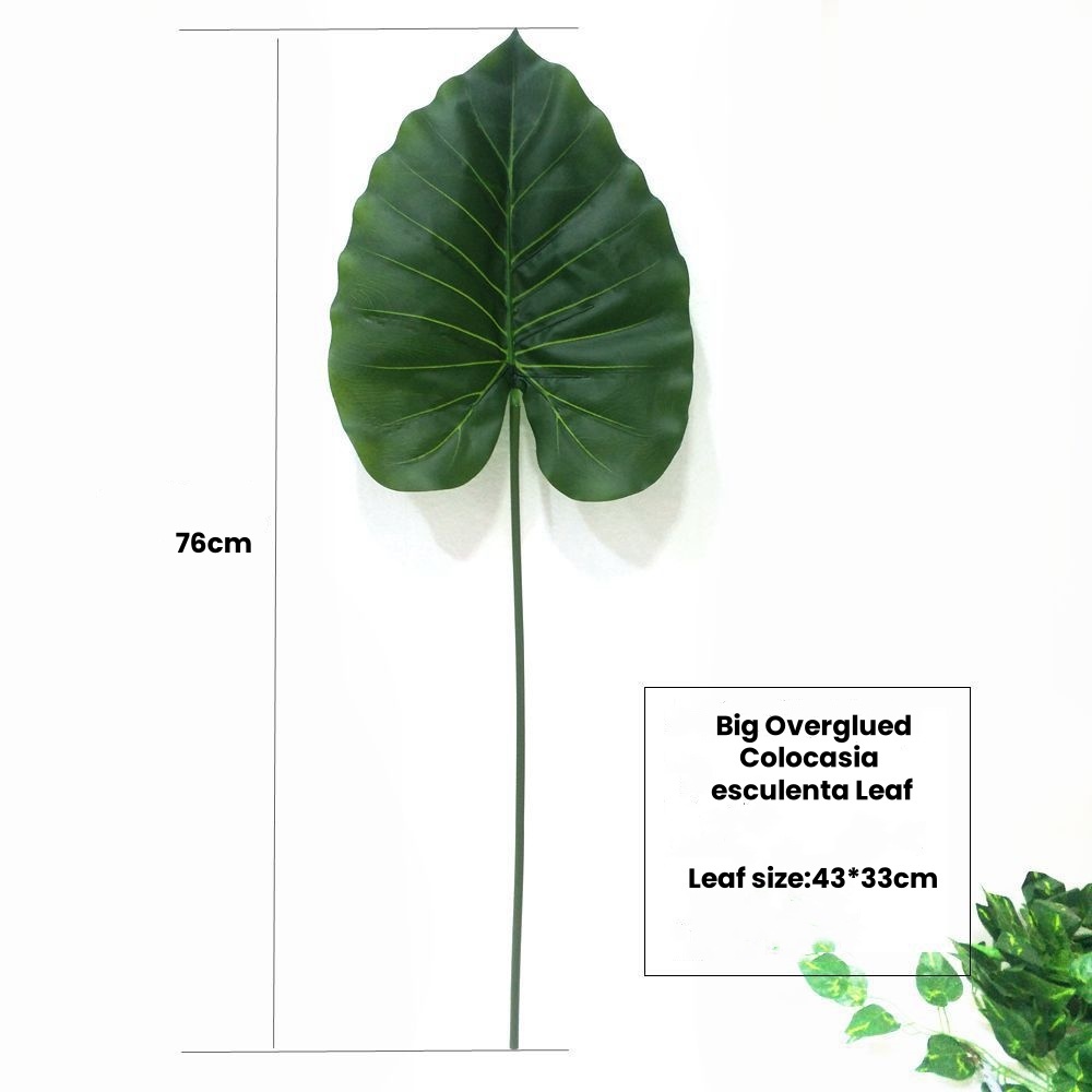 4# Green Colocasia esculenta Leaf-76cm