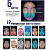 Nouvelle machine d'analyse cutanée IA avec système d'exploitation Windows, scanner facial, testeur d'hydratation, certifiée JP/US CE, analyse de la peau et du visage