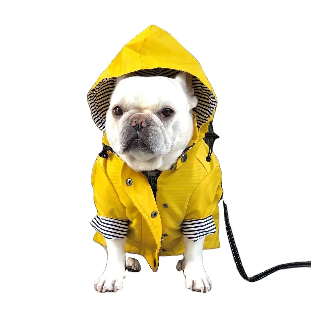 2024新しい犬のファッションペット服冬のかわいいペットアパレル犬のジャケット防風と防雨