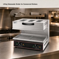 Gril à salamandre électrique commercial Blios, double zone, de comptoir, 4000W, 220V, en acier inoxydable, avec bac de récupération des graisses, logo personnalisé, MOQ