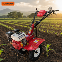 Mini Motocultor Diésel de Conexión Directa Marca YKX, Bajo Consumo de Combustible, con Marcha Atrás para Terrenos Montañosos, Proveedor Verificado