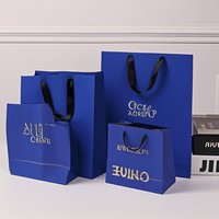 Sacs en papier pour l'emballage au détail Conception personnalisable fonctionnelle à une grande valeur