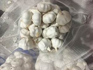 <span class=keywords><strong>Ail</strong></span> blanc pur frais de qualité supérieure en gros, <span class=keywords><strong>ail</strong></span> blanc normal frais, prix par tonne - Product Image 4