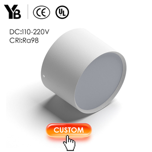 YB moderne rond LED Downlight plafonnier pour la maison 3000-6000K température de couleur corps en aluminium IP44 Installation de Surface fixe - Product Image 1