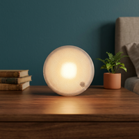 Ampoule LED Intelligente Connectée Wi-Fi Culot E27 Globe Alimentée par Courant Alternatif Plafonnier Dimmable RGB Lampe Intelligente pour Maison et Chambre d'Hôtel