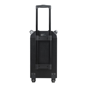 Machine à karaoké 10 ''Trolly Bass Speaker Système de sonorisation Portable Blue Tooth Speaker Party Audio Support TWS/<span class=keywords><strong>REC</strong></span>/AUX IN/MP3/USB/TF/FM - Product Image 5