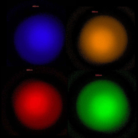 Lentille optique de 20 mm pour LED 5050 rouge et bleu à 4 puces, lentille à spot focalisé 30 °   Appareil de photothérapie pour la beauté