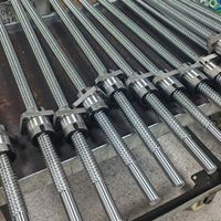 Ball Screw SFI4010 Diameter 40mm, Lead 5mm, Rangkaian Bearing untuk CNC Tugas Berat, Kapasitas Beban Tinggi, Daya Tahan Lama, Baja Krom