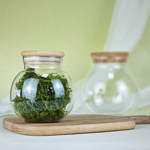 Pot en verre transparent exquis liège Micro paysage bouteille écologique Terrarium conteneur Aquarium veilleuse réservoir de poissons décor verre - Product Image 6