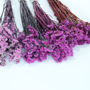 Flor Preservada Don't Forget Me, Regalo para el Día de San Valentín, Decoración de Bodas, Recuerdos de Boda, Esencial para San Valentín - Product Image 6