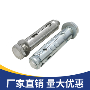 สกรูขยายเกล็ดปลาสแตนเลส M12x80 สำหรับโรงเรือนพลังงานแสงอาทิตย์แบบชิ้นเดียว - Product Image 5