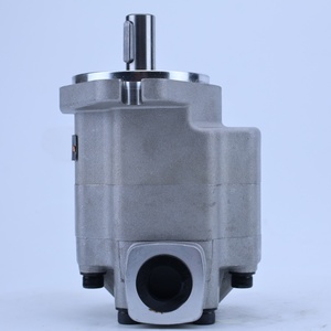 Ventes Flash : Moteur Hydraulique à Engrenages GM5 (GM5-5, GM5-6, GM5-8, GM5-10, GM5-12, GM5-16, GM5-20, GM5-25, GM5-30) - Modèle GM5-8-1FE13S-20-L - Product Image 2