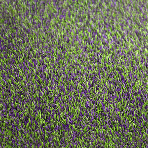 Lfl 20mm hoa oải hương Màu cỏ nhân tạo cỏ chất lượng cao và an ninh hàng đầu thiết kế mới nhất cỏ nhân tạo - Product Image 2