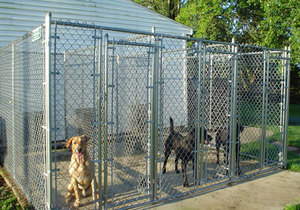 4 x 8ft ngoài trời Đi bộ trong chó <span class=keywords><strong>kennel</strong></span> chạy kim loại vật nuôi Lồng cho tập thể dục cho chó - Product Image 2