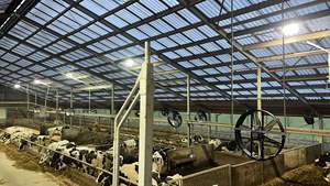 Ventilatori a flusso assiale della ventola di ventilazione industriale altri ventilatori - Product Image 2