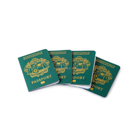 Nouveau cahier portable de passeport en cuir PU Service d'impression de livre de passeport personnalisé