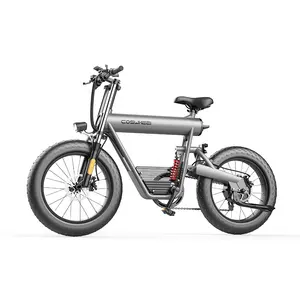 Prezzo di EXW all'ingrosso 48V 500W Coswheel bici elettrica bici elettriche