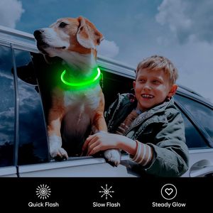 Colliers LED pour chiens, accessoires pour animaux de compagnie, rechargeables par USB, avec design lumineux, collier clignotant réglable, LED pour chiens - Product Image 5