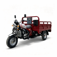 Tricycle à moteur à essence pour charges lourdes 500 kg, moteur chinois 150cc/200cc, type cargo et passagers, à vis.