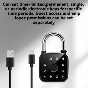 Newekey Grenzüberschreitendes Graffiti WLAN-Smart-Fingerabdruck-Vorhängeschloss Fernentriegelung Passwort Tuya App Kartenleser Holztür Aluminiumlegierung - Product Image 5