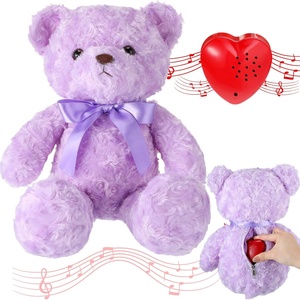 Module d'enregistrement vocal 60 secondes, ours en peluche doux et mignon de 16 pouces avec boîte à musique à fermeture éclair, enregistrable, cœur - Product Image 1