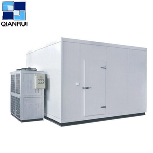 Modern Latest Custom-Made Blast <strong>Freezer</strong> Room Custom Cold Room Design Energy-Efficient Cold Room