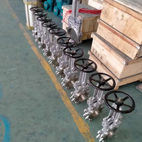 Vanne à opercule en acier inoxydable ANSI 1-1/2"~24" DN40-DN600 150LB PN16 10K CF8 CF8M Industrielle pour l'industrie pétrochimique