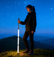 Canne pliable portable pour véhicule, bâton de marche en aluminium avec lumière LED pour l'extérieur et la voiture