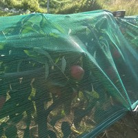 Filet anti-oiseaux en HDPE tricoté, stabilisé aux UV, pour jardin, verger, légumes et protection des cultures