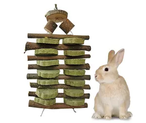 토끼 씹는 장난감 100% 천연 유기농 사과 스틱 수제 적합한 토끼 작은 동물 스낵 씹는