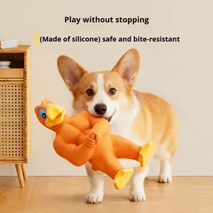 Jouet de canard de poulet de muscle de latex imperméable écologique d'auto-divertissement pour <span class=keywords><strong>les</strong></span> Golden Retrievers Malamutes d'Alaska - Product Image 2
