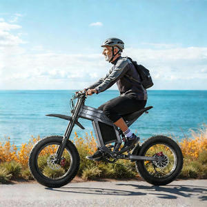 Moto tout-terrain <span class=keywords><strong>électrique</strong></span> professionnelle 2000W en alliage d'aluminium certifié CE, double suspension, batterie au lithium pour le sauvetage et le soutien - Product Image 5