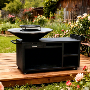 Modern Steel Charcoal <b>BBQ</b> <b>Grill</b> with Trolley Storage Cabinet Matte Finish Outdoor <b>Grill</b> - Product Image 1