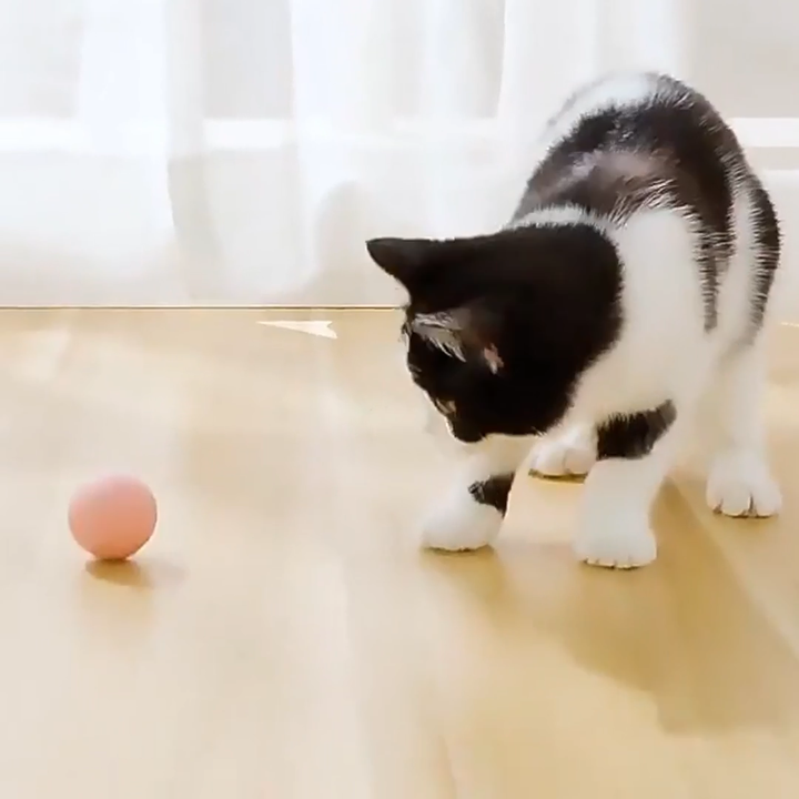 Electric Pet Cat Toys Automatic Rolling Smart Cat Ball Training Self
