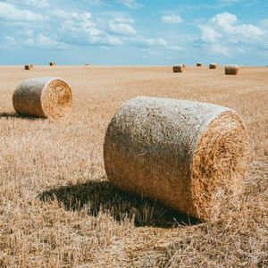 ייצור צמח רב ביומסה כוח (שבבי עץ אורז קש קליפות) - Product Image 6