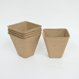 Macetas de pulpa desechables para viveros, vasos para plántulas de 6/8 cm, bandejas de inicio con 2x3, 2x4, 3x4, 2x5 celdas, macetas compostables con orificios - Product Image 2