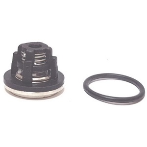 Valvole per pompa compatibili con Os22C5 Rif. 448141 - Product Image 1