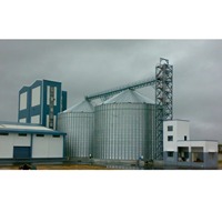 Silo per Cereali Verticale in Acciaio Inossidabile di Qualità Premium, Facile Manutenzione, Ideale per Stoccaggio Industriale, Disponibile per la Vendita