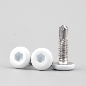 <span class=keywords><strong>Viti</strong></span> Autofilettanti a Testa Tonda/Svasata in <span class=keywords><strong>Acciaio</strong></span> <span class=keywords><strong>Inox</strong></span> 410, Laccate Bianche con Incavo Smussato, <span class=keywords><strong>Viti</strong></span> Autoperforanti - Product Image 5