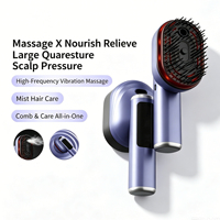 Peigne applicateur de liquide pour cuir chevelu, diffuseur d'huile de croissance capillaire électrique, massage par vibration à lumière rouge, 3 modes, masseur rechargeable USB