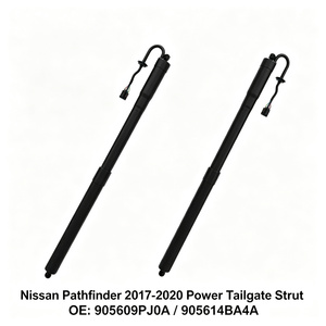 Amortiguador de Portón Trasero al por Mayor 905609PJ0A para <span class=keywords><strong>Nissan</strong></span> <span class=keywords><strong>Pathfinder</strong></span>, Soporte para Muestras, Pedidos Mixtos - Product Image 1
