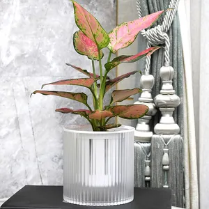 Creative Automatic Water Absorbing Pots Self Watering Flower Pot Flowerpot Transparent Smart Planter Plastic Lazy Flower Pot