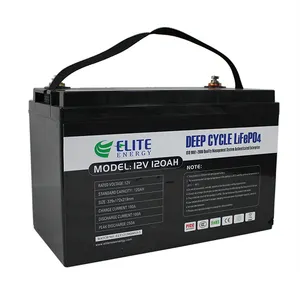 Elite Zyklen Li-Ionen-Akku 12V 120ah LFP-Akku Yachat Solarenergie speicher Lithium-Ionen-Akku LiFePO4-Batter-Pack