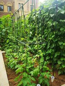 Fourniture en gros assurée de qualité de piquets de jardin en acier revêtus de plastique pour l'escalade - Product Image 5