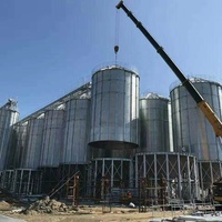 100 tonnellate di Silos in acciaio inox per la costruzione di aziende agricole di stoccaggio di grano risone chicchi di caffè