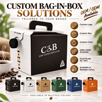 Sac BIB personnalisé 1L 2L 3L, sac aseptique jetable en plastique avec bec verseur pour huile d'olive, vodka, jus, café à emporter