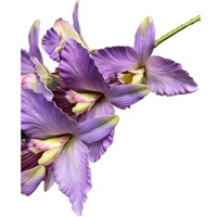 Bunga Artificial Catland Real Touch Cymbidium Vanda Anggrek Cabang Mawar Merah Ungu Biru 9 Kuntum Cattleya Hybrida
