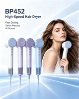 Haute puissance 110000 tr/min sèche-cheveux électrique ionique ménage ions négatifs soins des cheveux sèche-cheveux pour salon à domicile utilisation RV personnalisable