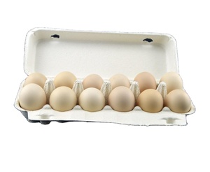 Máy Làm Khay Trứng Tự Động Tái Chế Kiểu Quay - Product Image 5